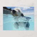 Search for levels postcards Blue