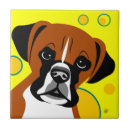 Recherche de boxer carreaux Chien
