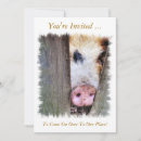 Recherche de porc drôle invitations Animaux de ferme