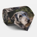 Search for amusing ties For him