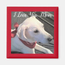 Search for kid room magnets For her