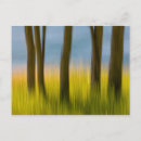 Search for abstract tree postcards Motion