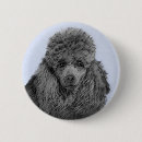 Recherche de caniche badges Mignon