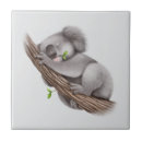 Search for sleep tiles Bear
