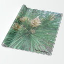 Search for friendship wrapping paper Birthday