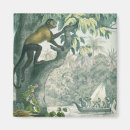 Search for amazons magnets America