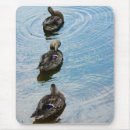 Search for duck mousepads Feathers