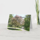 Search for apple blossom birthday cards For her