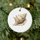 Search for seashell ornaments Ocean