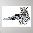 Search for pardus posters Face