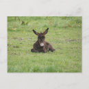 Recherche de reposé posters Herbe