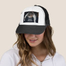 Search for funny cat image hats Kitty