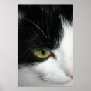 Search for green eyes black cat art Feline