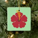Search for hibiscus ornaments Nature