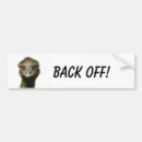 Search for big bird bumper stickers Animals