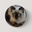Recherche de votre image badges Chat