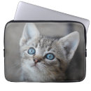 Recherche de de chaton ordinateurs portables housses Photographie