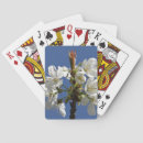 Recherche de printemps jeux de cartes Photographie de la nature