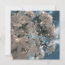 Search for baby blue wedding invitations Sky
