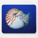 Search for nautilus mousepads Ocean