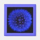 Recherche de pourpre et bleu magnets Floral