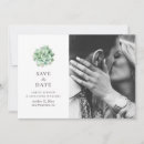 Search for succulent save the dates Watercolor