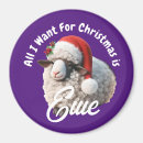 Search for ewe magnets Cute