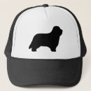 Search for beard hats Pets
