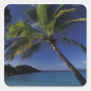 Search for trunks stickers Beach