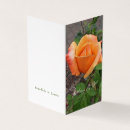 Recherche de rosebud vœux cartes Photographie