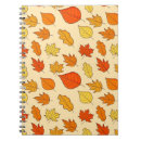 Search for concepts notebooks Beautiful