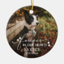 Recherche de photo pet memorial ornaments Chat