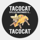 Search for election cat stickers America