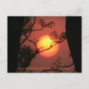 Recherche de inspiration photographie Beau