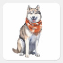 Search for cute siberian husky stickers Dog