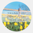 Search for daffodil flower stickers Floral