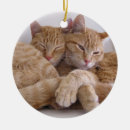 Search for adoption ornaments Shelter