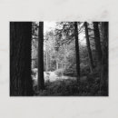 Search for on dark postcards Outdoors