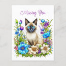 Recherche de de chat siamois cartes postales Aquarelle