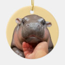 Search for hippo christmas decor Wildlife