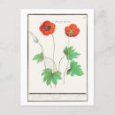 Recherche de illustrations botaniques cartes postales Élégant
