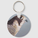Search for peregrine falcon keychains Animal