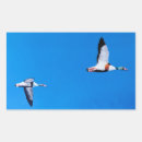 Recherche de migration autocollants Oiseau