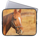 Search for horse laptop cases Cowboy