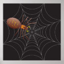Recherche de araignée posters Nature