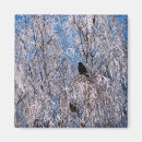Recherche de saisons magnets Hiver