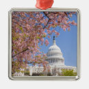 Recherche de fleurs de cerisier ornements Nature