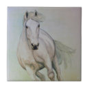 Search for equines tiles Ponies