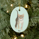 Search for tabby cat ornaments Cute kitten