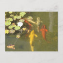 Search for fish pond postcards Lily